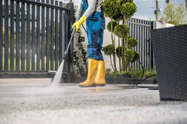 Best Patio and Deck Pressure Washing  in Hilton, NY
